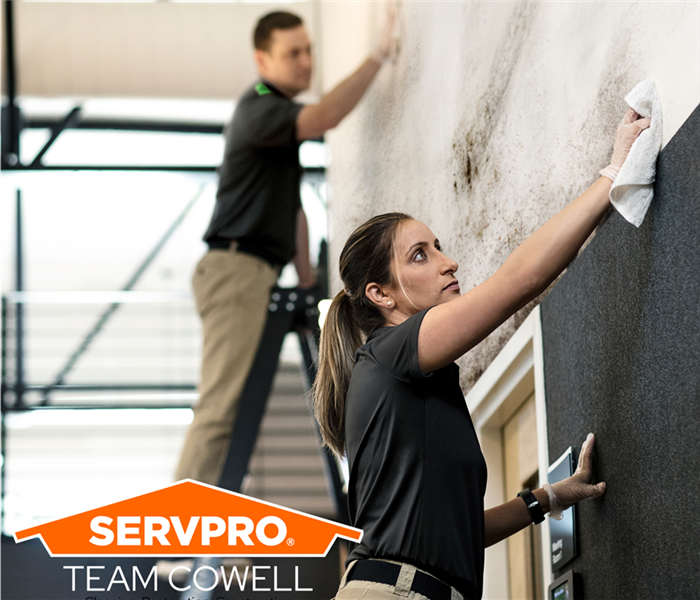 SERVPRO technicians cleaning wall